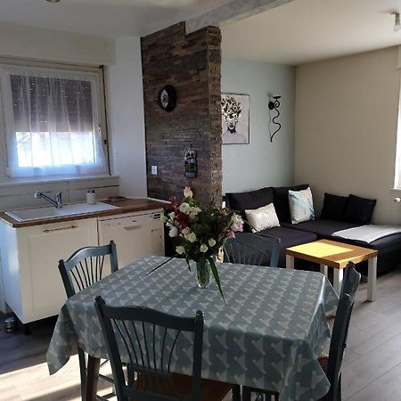 Appartement Au Cigogneau Wifi-Netflix-Balcon-Parking Мюнстер Экстерьер фото