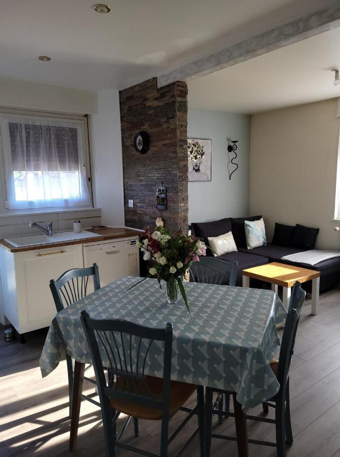 Appartement Au Cigogneau Wifi-Netflix-Balcon-Parking Мюнстер Экстерьер фото