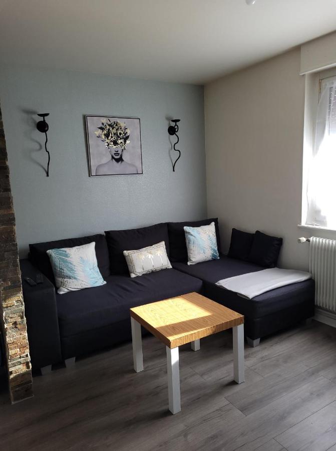 Appartement Au Cigogneau Wifi-Netflix-Balcon-Parking Мюнстер Экстерьер фото